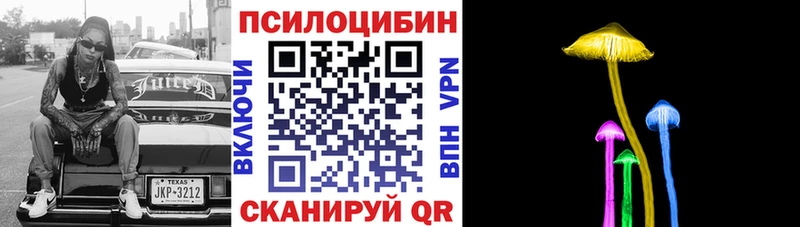 Псилоцибиновые грибы Cubensis  Купить  Духовщина 